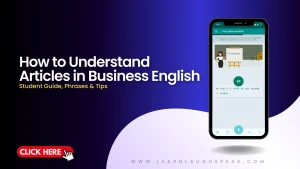 how to understand articles in business English