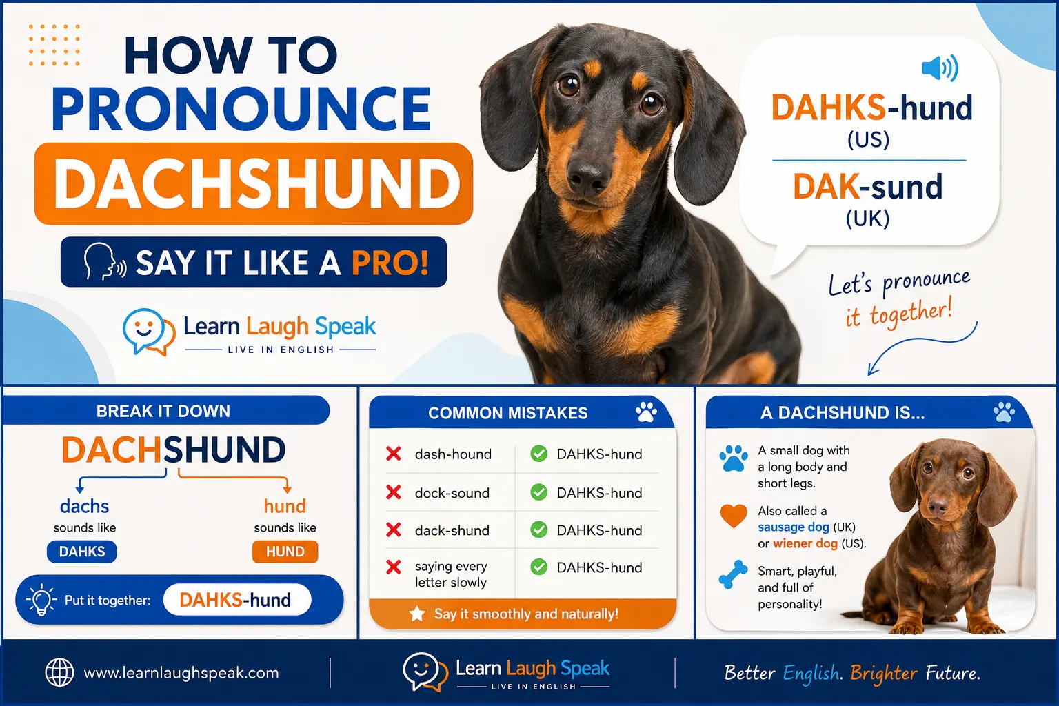 infographic on how to pronounce dashshund 