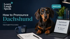 Learn Laugh Speak how to pronounce dashshund