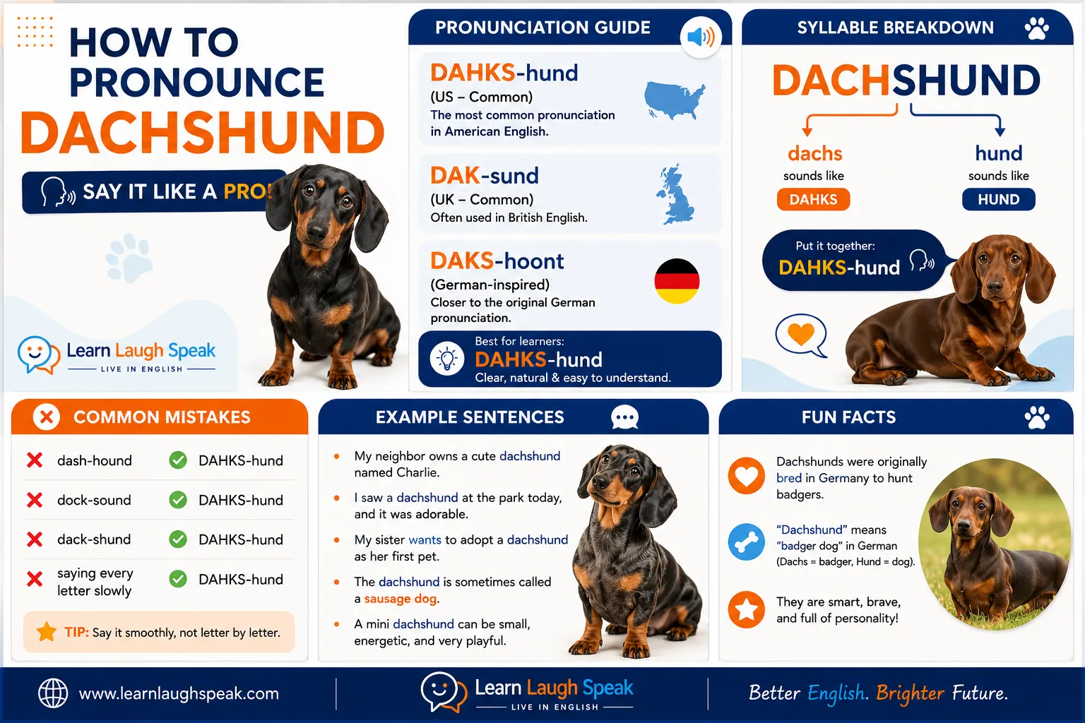 infographic on how to pronounce dashshund 