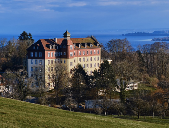 international school