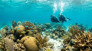 Explore Vibrant Reefs and Wrecks