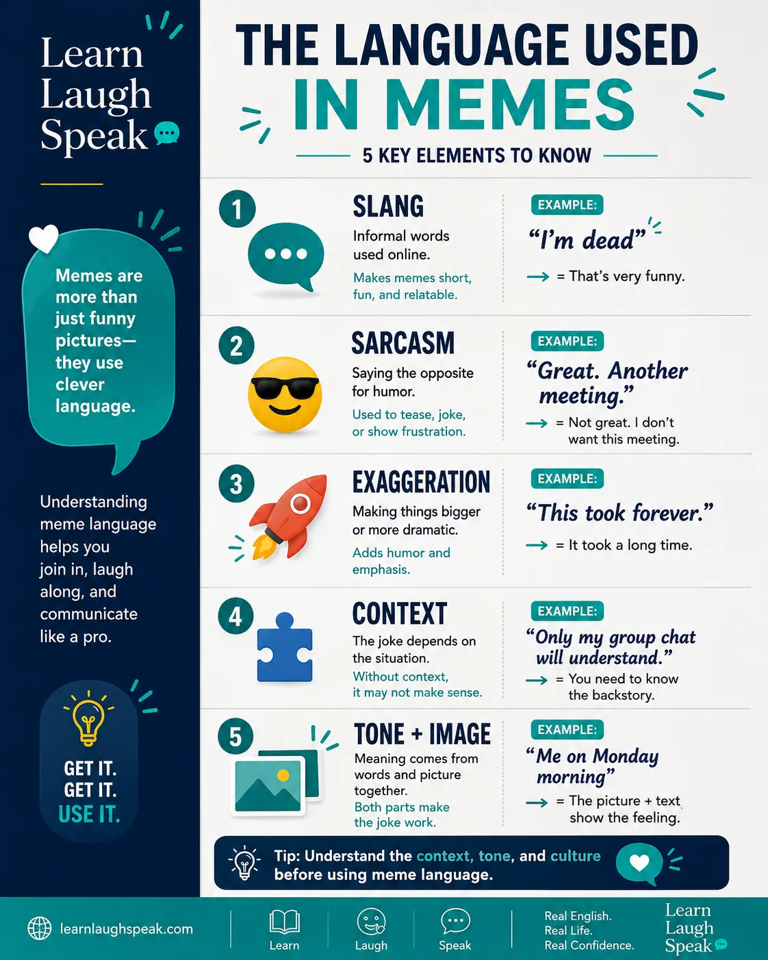Infographic explaining the language used in Memes with examples of meme slang, internet phrases, sarcasm, exaggeration, and professional alternatives.