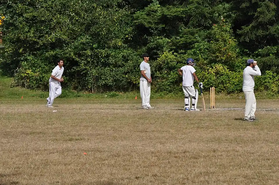 Cricket bowler delivering the ball during a match