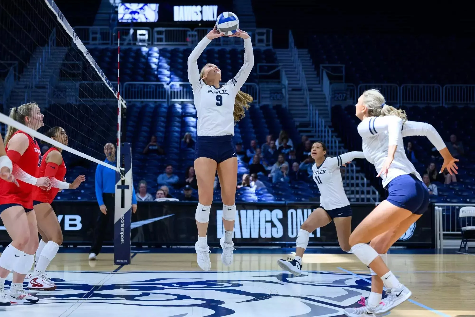 Volleyball players in position during an indoor match